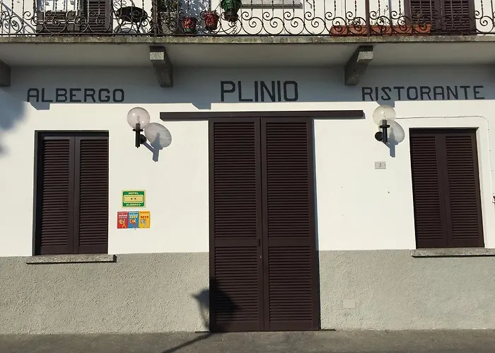 Plinio 2*